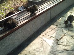 -中国药科大学（江宁校区）综合门诊部