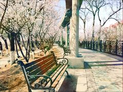 -桃花堤公园