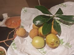 -季季山·云南野生菌火锅(上海首店)