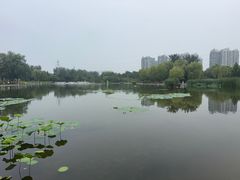 -太阳宫公园