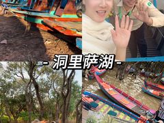 -洞里萨湖