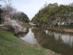 -太子山公园(园东路)
