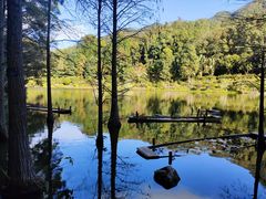 -深圳仙湖植物园