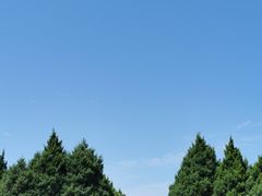 -秦始皇帝陵博物院-丽山园