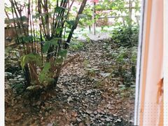 -鹿港小镇(黄金店)