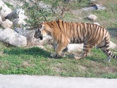 -西安秦岭野生动物园