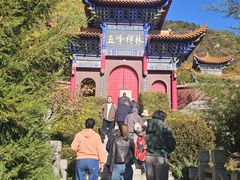 -遵化市禅林寺古银杏风景园