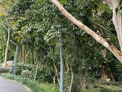 -苏州河梦清园环保主题公园