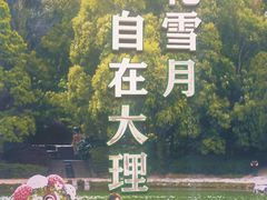 -蝴蝶泉公园