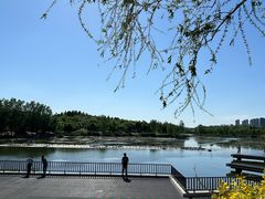 -马家湾湿地公园
