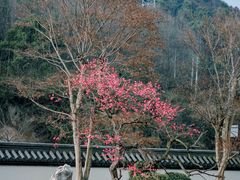 -东方艺术博物馆