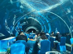 -海棠湾洲际-涛·海底餐厅·美人鱼·自助餐·海底隧道