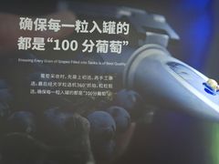 -龙谕酒庄