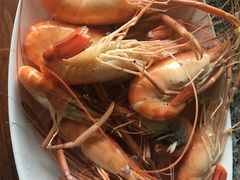 -大象营野Life营地·钓虾(坦尾店)