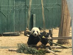 -沈阳森林动物园