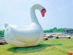 -杭州湾海上花田景区