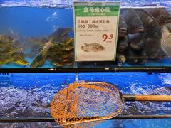 水产区-盒马鲜生(皇庭广场店)