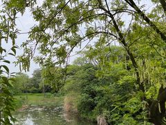 -梁鸿国家湿地公园