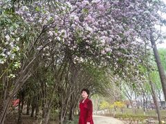 -石家庄市植物园