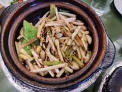 啫啫花生芽-煲煲好(朝阳门店)