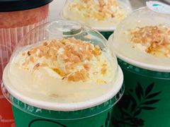 -雾与山茶(大禹城店)