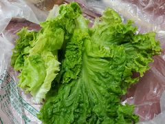 生菜-九田家黑牛烤肉料理(新辰里亚运村店)