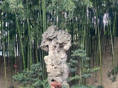 -水绘园