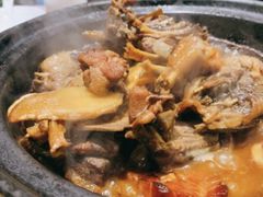 -红果树(江光店)