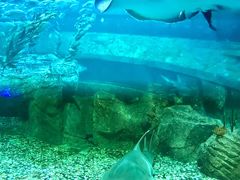 -香港海洋公园