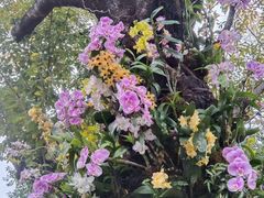 -人民公园(罗湖区)