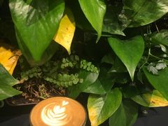 -Seesaw Coffee(环贸iapm店)