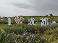 -空港花田景区