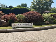 -嘉定紫藤园