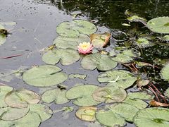-西湖天地