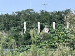 -日照海滨国家森林公园