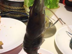 -加餐海鲜自助(集美银泰百货店)