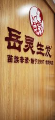 -岳灵生发养发馆