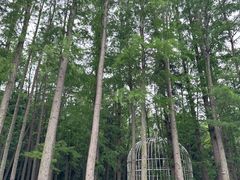 -上海月湖雕塑公园