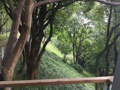 -西湖风景区-江洋畈生态公园