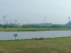 -春花秋色城市公园