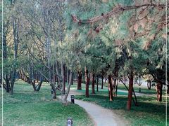 -元大都城垣遗址公园