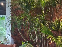 -J Create城市露营咖啡·简餐·宠物(上海动物园店)