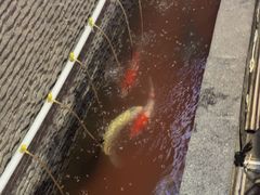 -陈府大宅门成都火锅·手切鲜肉(太原街店)