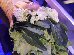 -96农蝎虾(江桥老街店)
