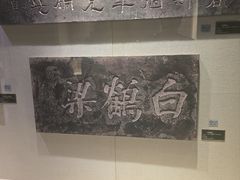 -白鹤梁水下博物馆