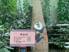 -呀路古热带植物园