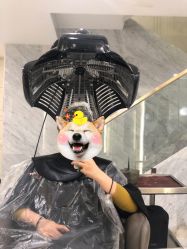-3AM HAIR SALON染发接发
