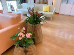 -杭州海亮医院 · 禾芸嘉医美中心