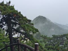-九华山风景区