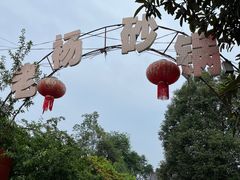 -老杨砂锅鱼庄